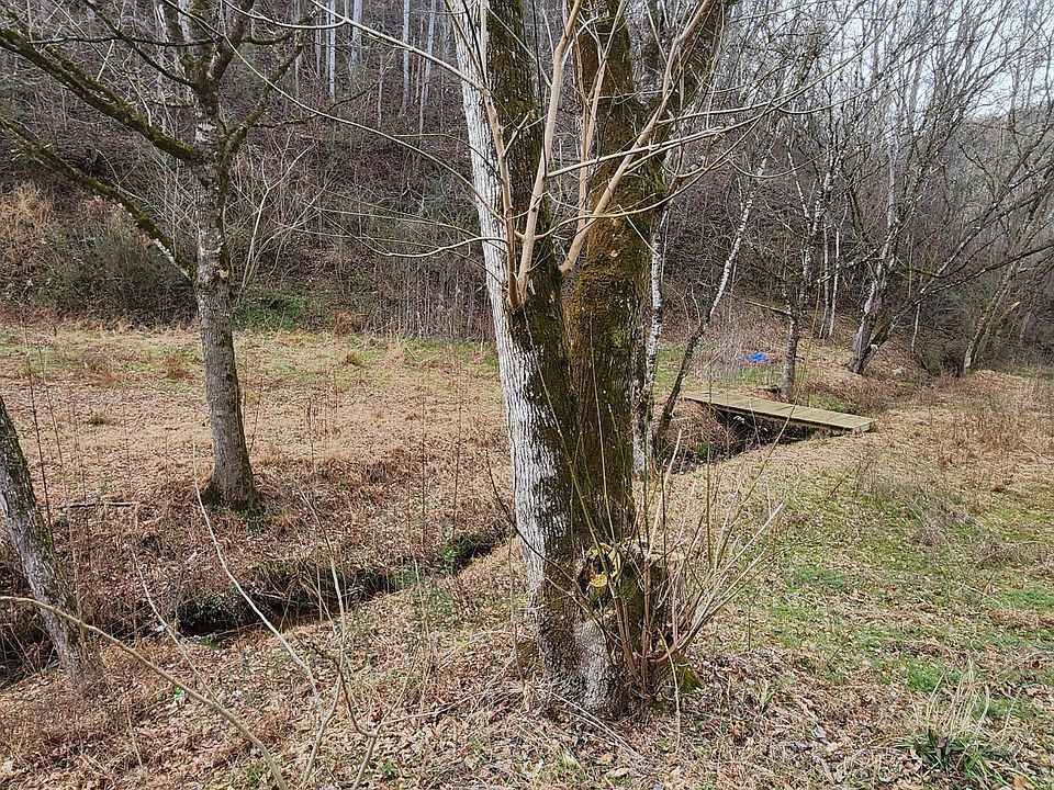 722 Old Piney Rd, Maryville, TN 37803 Zillow