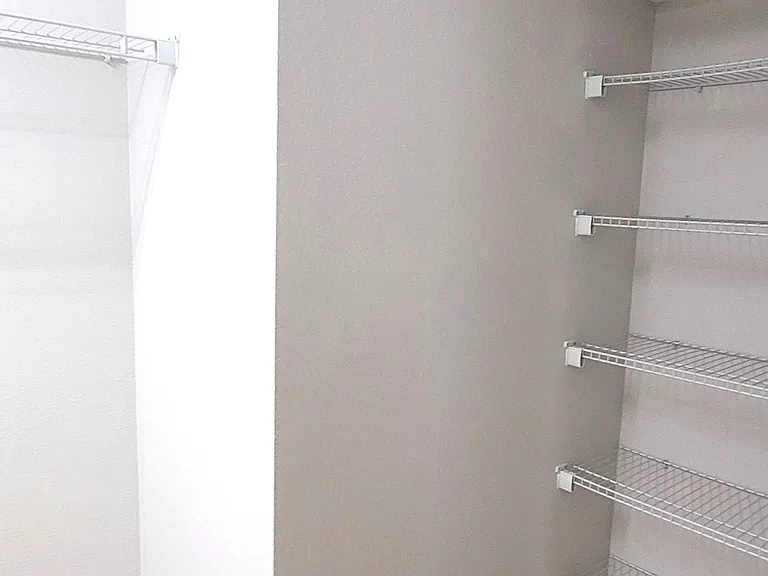 Master Closet another view with shelves