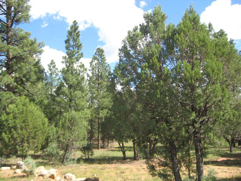 1st image of 5914 Tamarron Dr