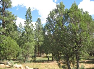 5914 Tamarron Dr, Happy Jack, AZ 86024