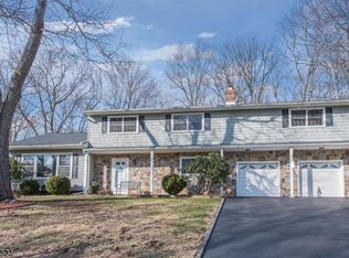 9 Misty Mountain Rd, Randolph, NJ 07869