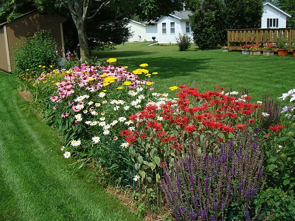 Perennial flower garden