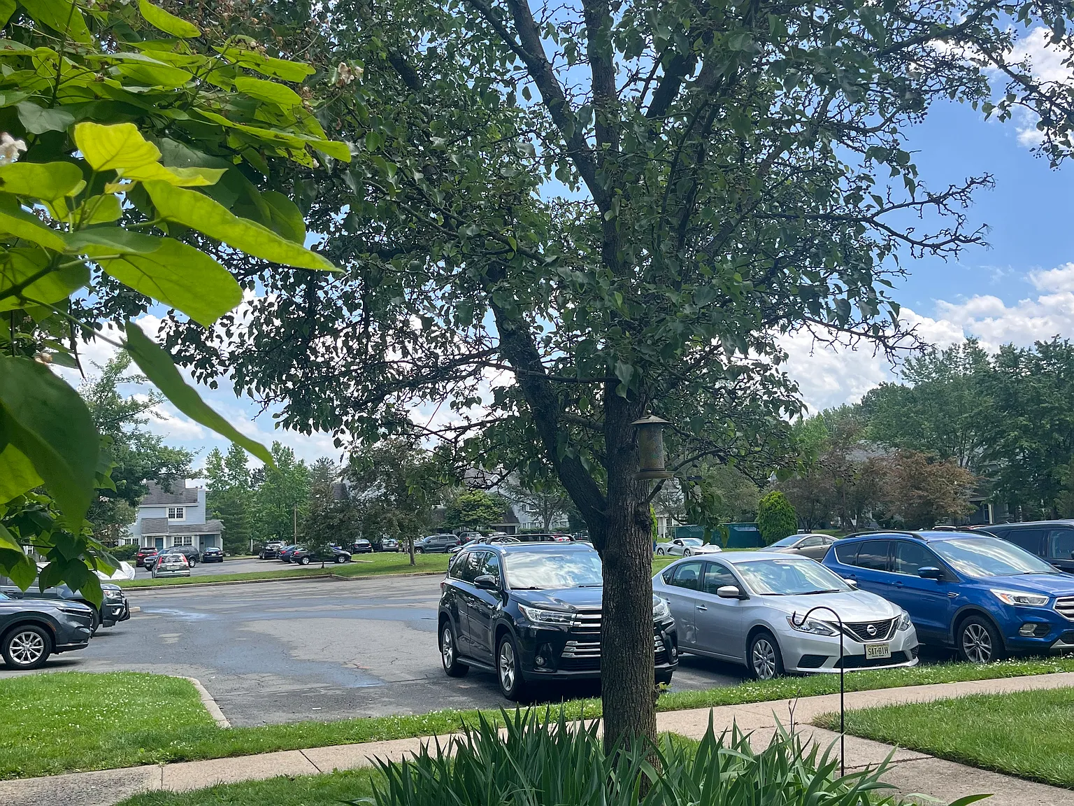 1 bed, 732 sqft, $2,100 — Photo 3
