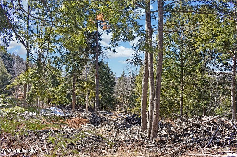 5th image of L16 Mountain Meadows Road