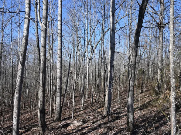 2172 Airport Ridge Rd, Linden, TN 37096