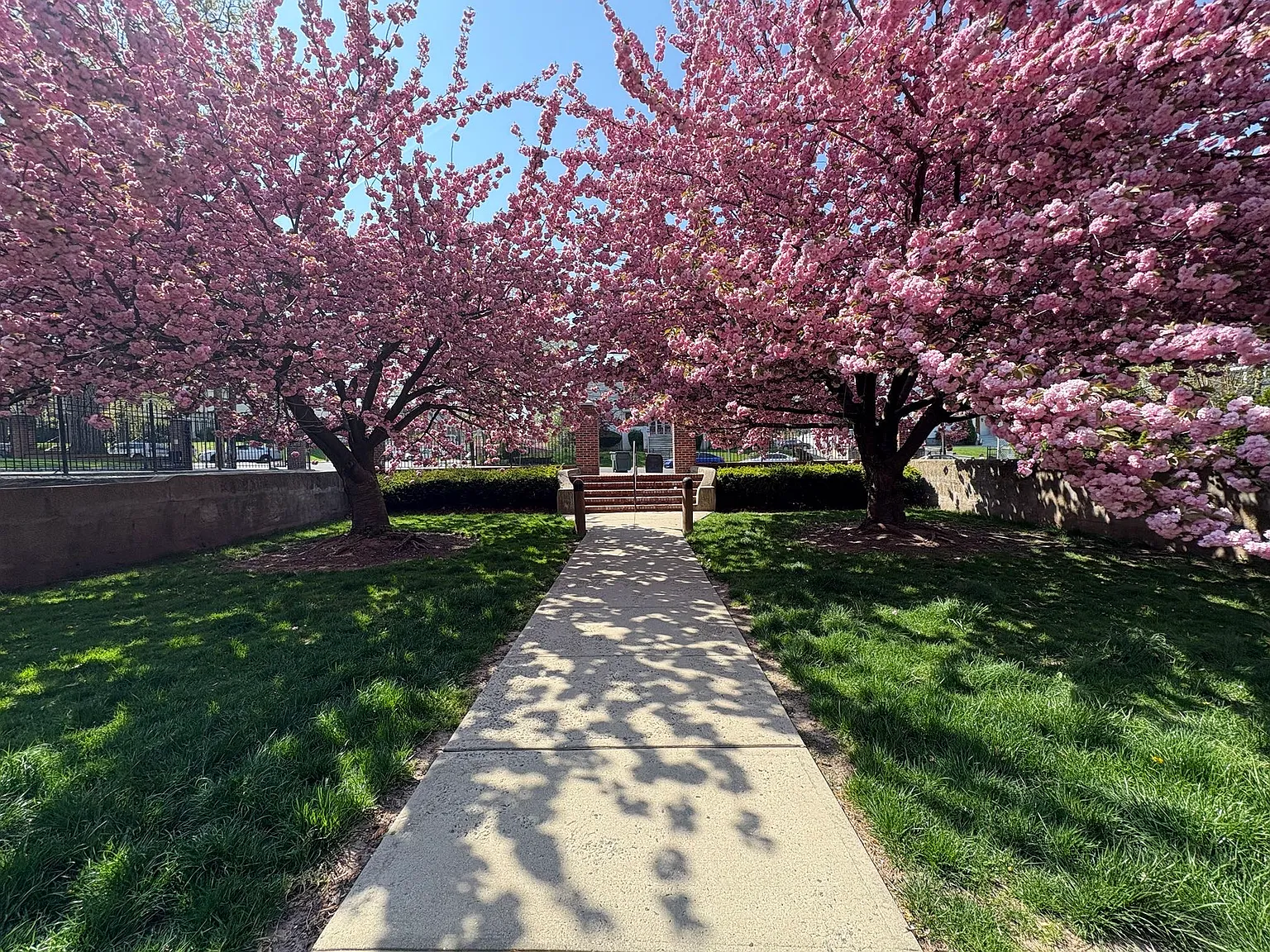 583 MT. Prospect Gardens — Photo 3