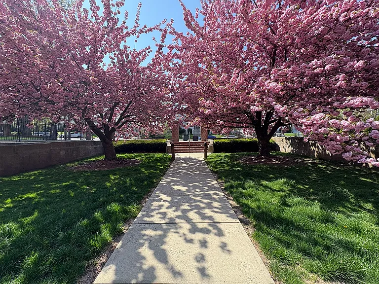 583 MT. Prospect Gardens — Photo 3