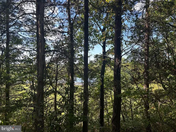 PARCEL 15 Kipps Ln, Elkwood, VA 22718