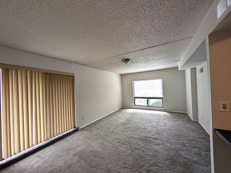 822A Putnam Blvd #A — Photo 24