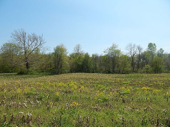 2nd image of 687 County Road 620
