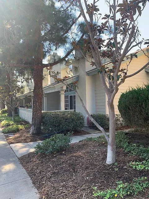 2 bed, 1000 sqft, $3,200 — Photo 2