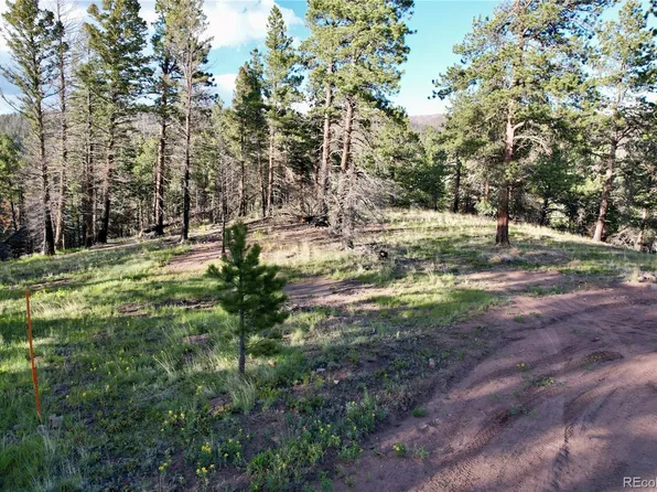 561 Richard Drive, Fort Garland, CO 81133