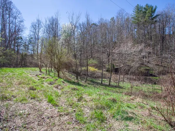 95 Cat Eye Rd, Robbinsville, NC 28771