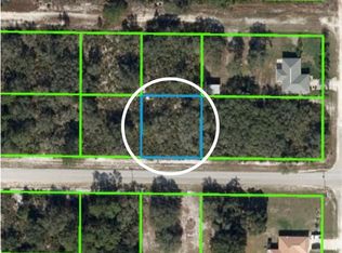 2922 W Exeter Rd, Avon Park, FL 33825