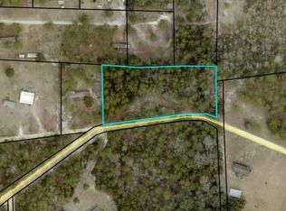 Mallard Rd, Mallard, GA 31560