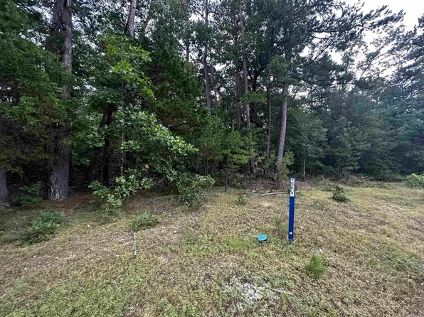 LOT 45 Cobalt Bay Dr Lot 45, Shirley, AR 72153