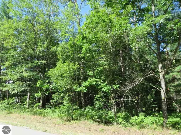 2043 Log Lake Rd NE, Kalkaska, MI 49646