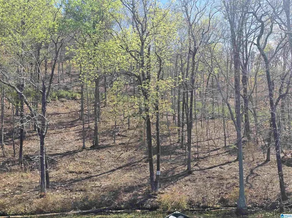 17 Eagle Point Trce, Rockford, AL 35136