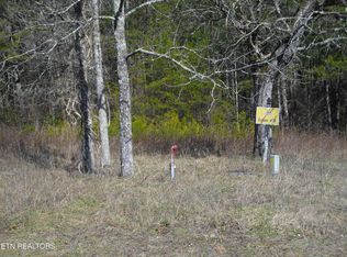 Wild Magnolia, Jamestown, TN 38556