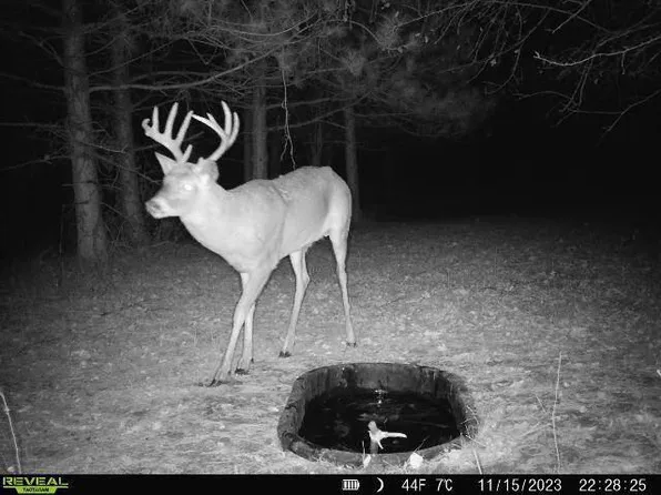 N39974 GAVEL ROAD, Whitehall, WI 54773