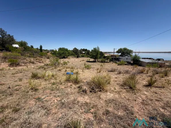 110 Ute Dr, Logan, NM 88426