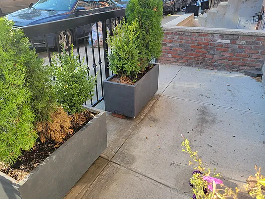 Rented by BLS Realty | media 22