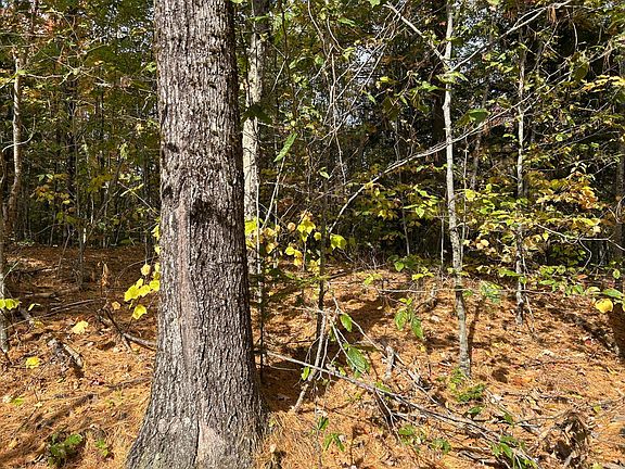 4th image of 490 Branch Mills Road