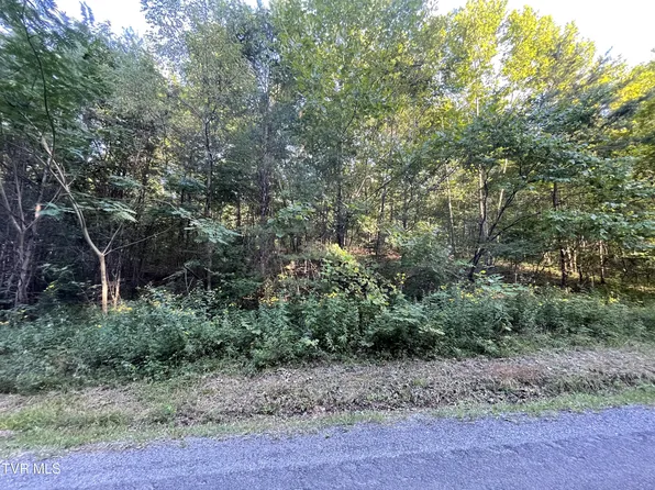 0 Speedwell Rd, Bulls Gap, TN 37711