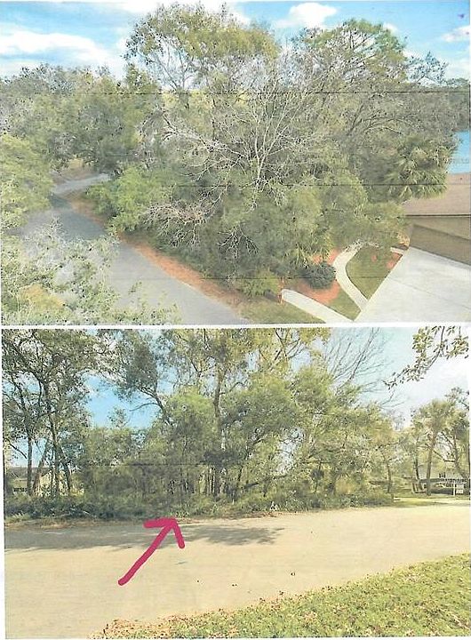 2nd image of 421 CARDINAL OAKS COURT LOT 43