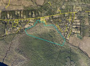 Tbd Clarks Bluff Rd, Kingsland, GA 31548