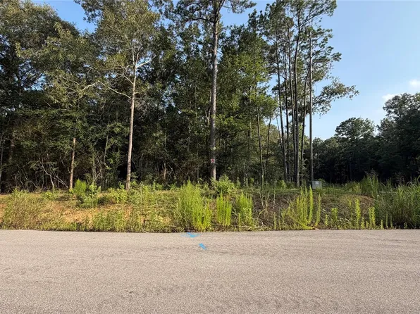 221 Kings Ct Lot 8, Dayton, TX 77535
