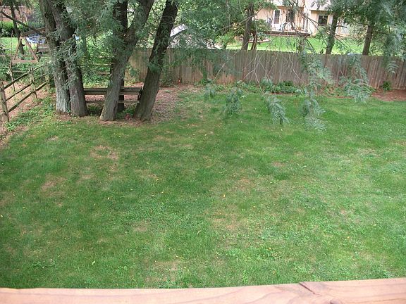 Yard from Balcony