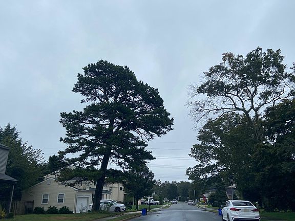 4th image of 1113 Spring Ln