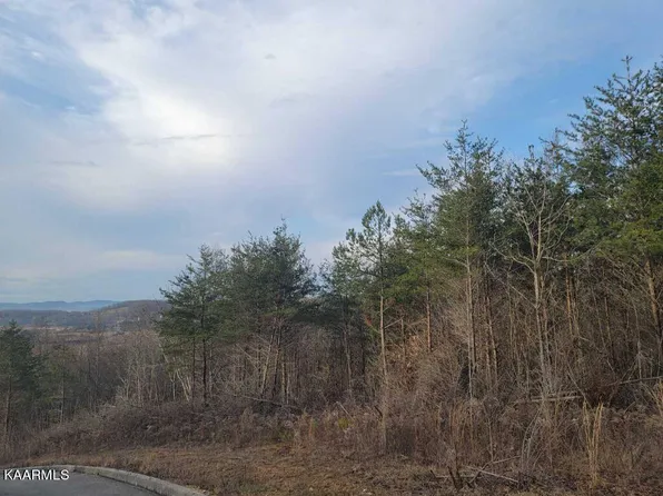 0 Megans Trl, Bean Station, TN 37708