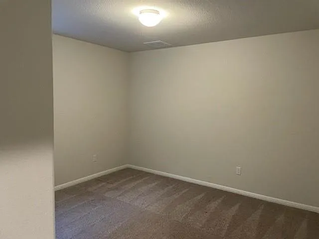 417 Bright Star Ln — Photo 17
