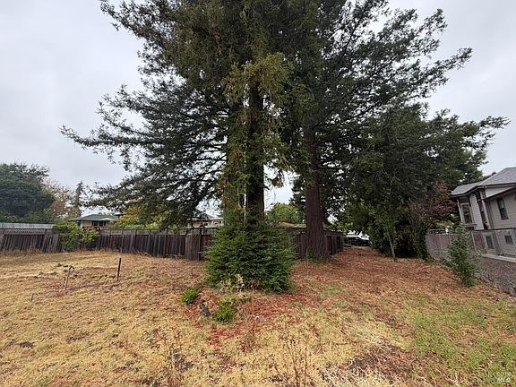 5th image of 1741 Pine St
