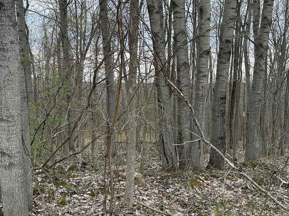 2nd image of 0 Swamp Rd