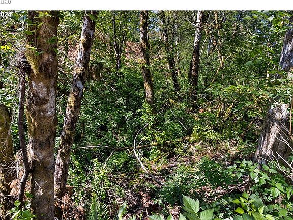 4th image of NE Berry Rd