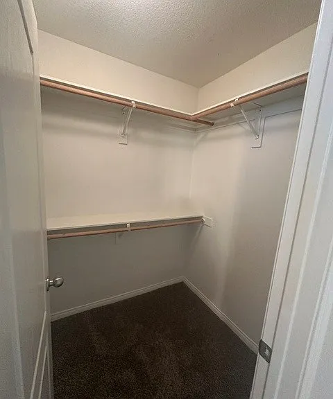 5413 Coastal Wind St — Photo 3