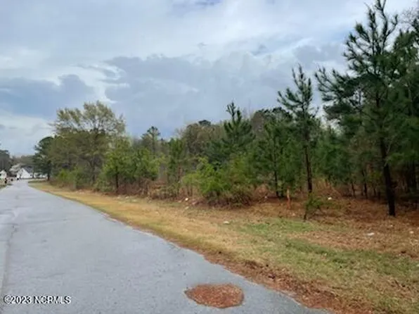 5 Chelsea Drive, Snow Hill, NC 28580
