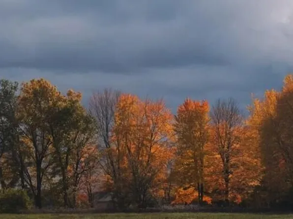 6470 N 37th St, Richland, MI 49083