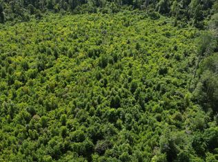 0 Johns Shiloh Rd, Brandon, MS 39042