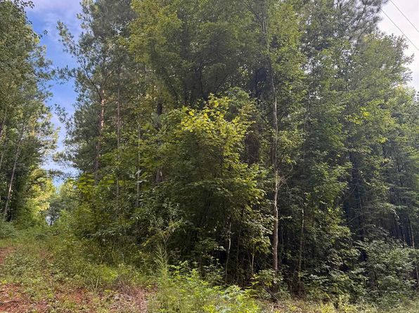 0 County Road 228 #1