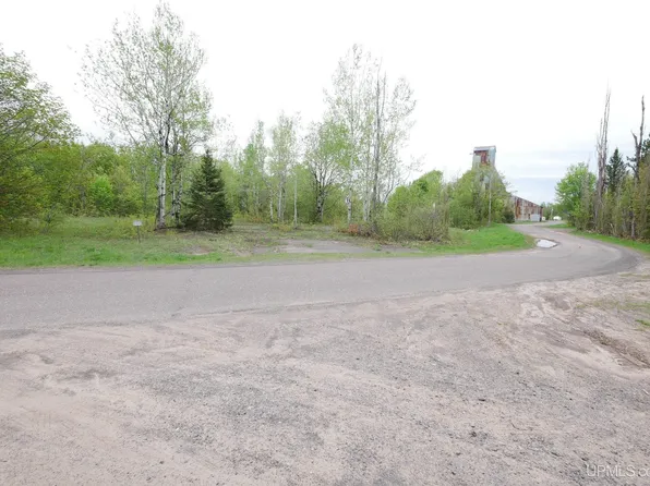 Shaft Rd, Painesdale, MI 49955