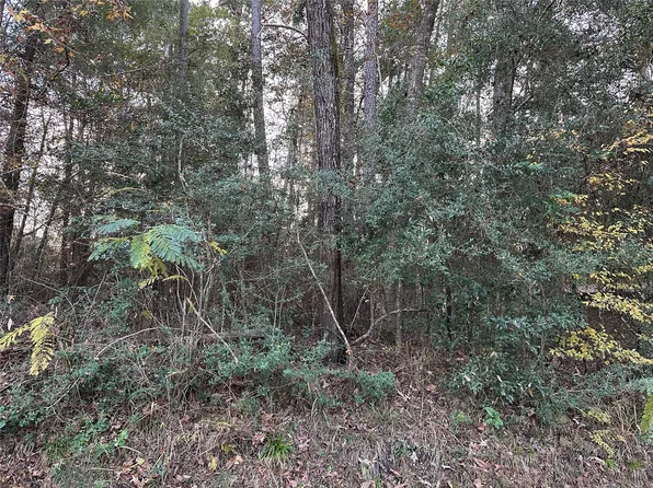 Gary Ct, Livingston, TX 77351