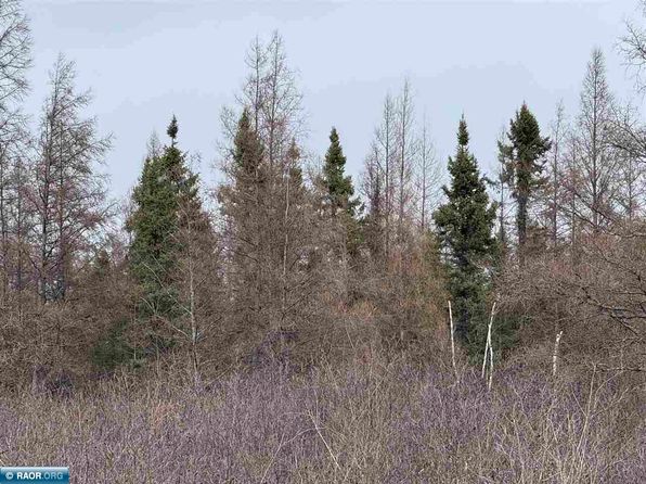 Peary Dr S, Eveleth, MN 55734