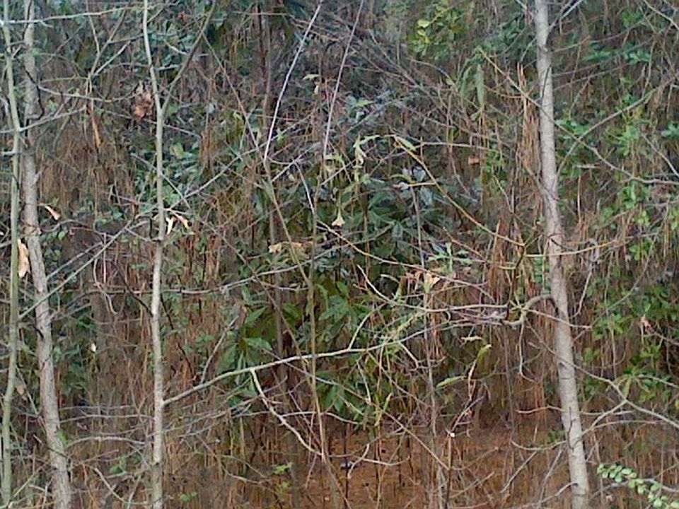 1st image of 4688 Winters Chapel Rd