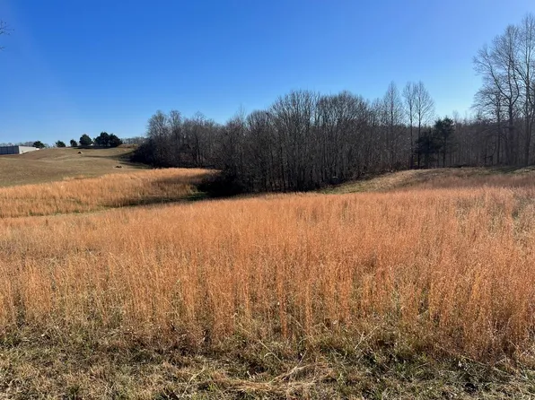553 Della Winchester Rd, Nancy, KY 42544