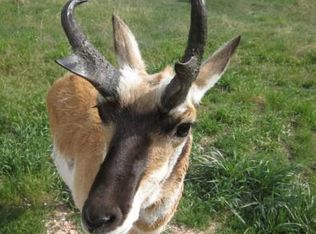 Marshall Rd, Medicine Bow, WY 82329