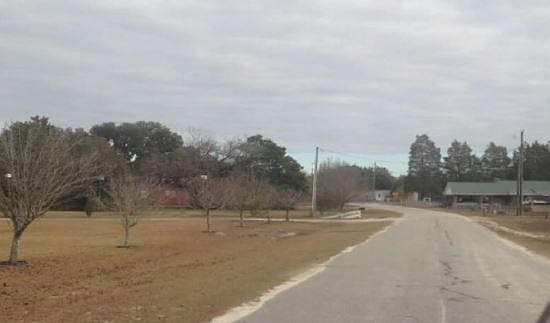2nd image of 124 Amanda Ln